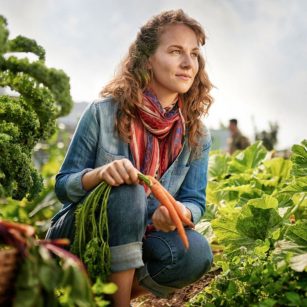 سعید سلطانی