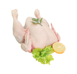 مرغ کامل تازه