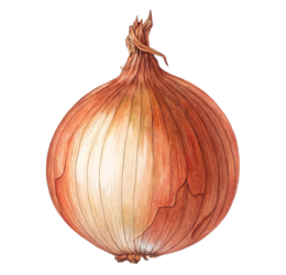 پیاز خوراکی