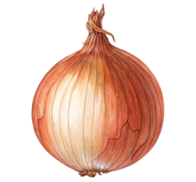 پیاز خوراکی